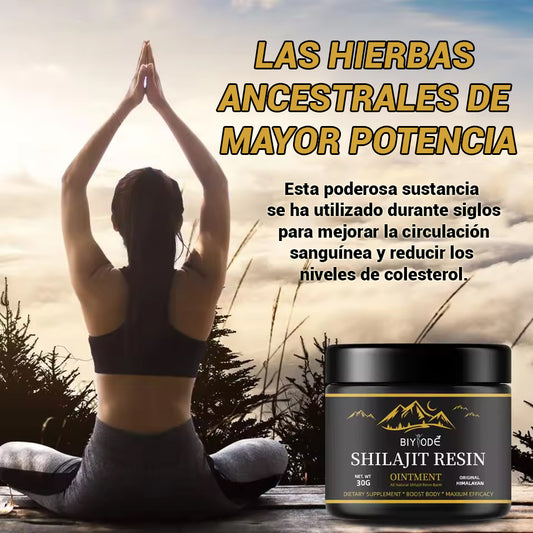 Shilajit 100% resina pura - El secreto milenario para una energía y bienestar inigualable-30gs